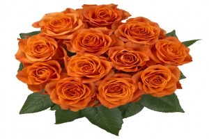 Roses from Kenya